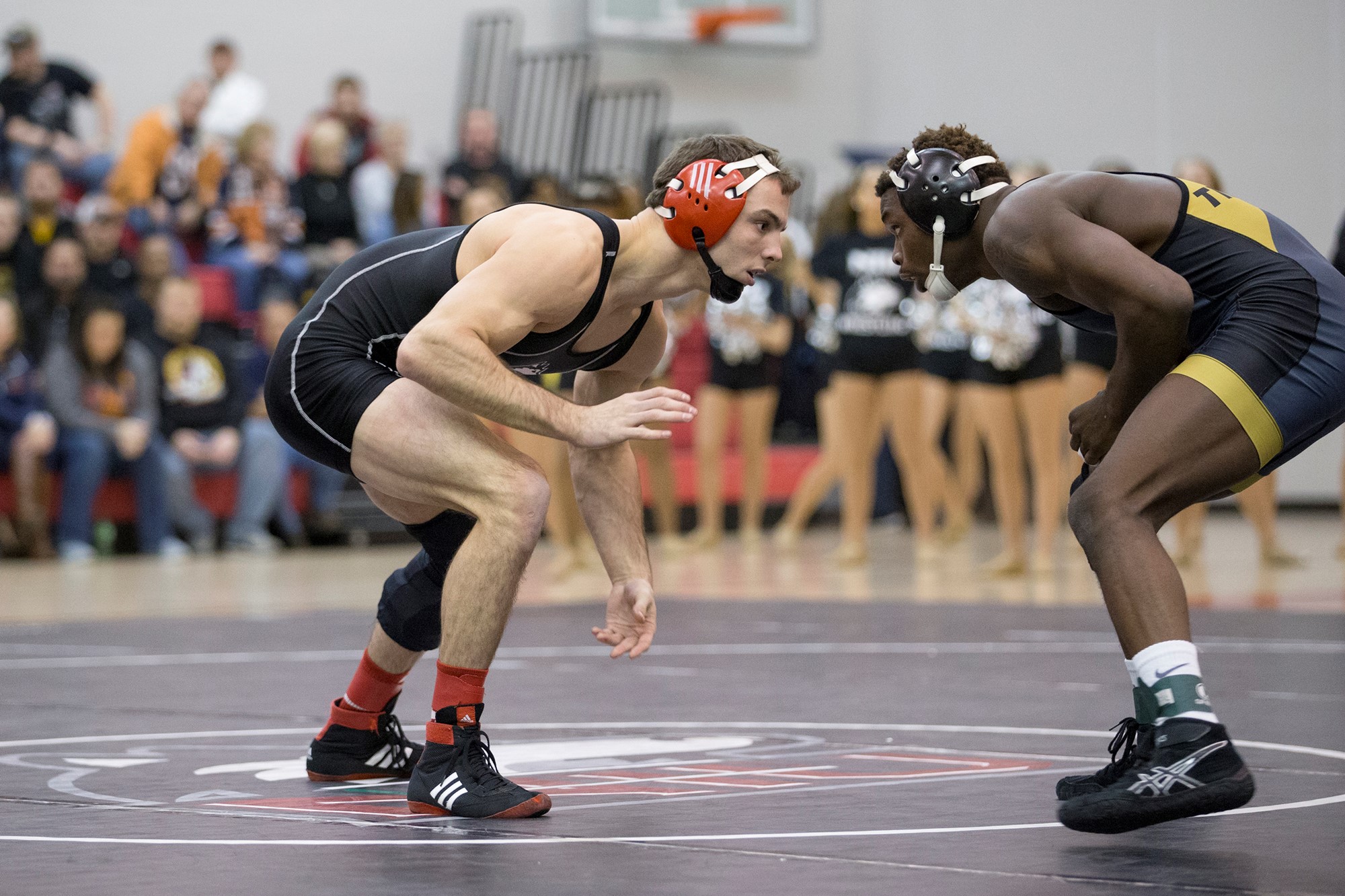 Andrew Morse Wrestling NIU Athletics